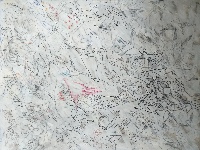Dream Perception — Nistor Coița