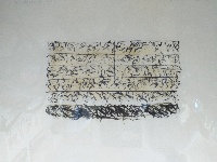 Graffiti — Nistor Coița