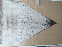 Manuscript III — Nistor Coița