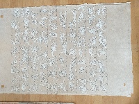 Travel in White — Nistor Coița