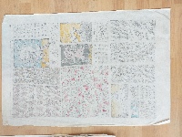 Daily — Nistor Coița